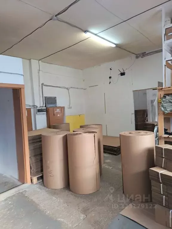 Помещение свободного назначения в Новосибирская область, Новосибирск ... - Фото 2