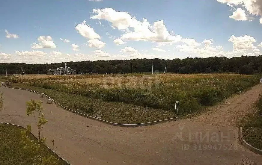 Участок в Ставропольский край, Шпаковский муниципальный округ, с. ... - Фото 1