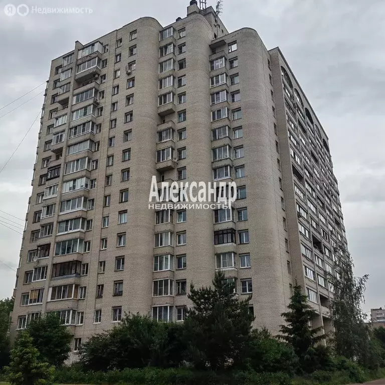 2-комнатная квартира: Колпино, Пролетарская улица, 42 (49 м) - Фото 1