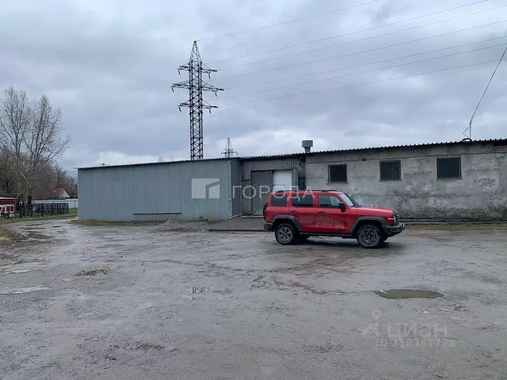 Помещение свободного назначения в Новосибирская область, Новосибирск ... - Фото 1
