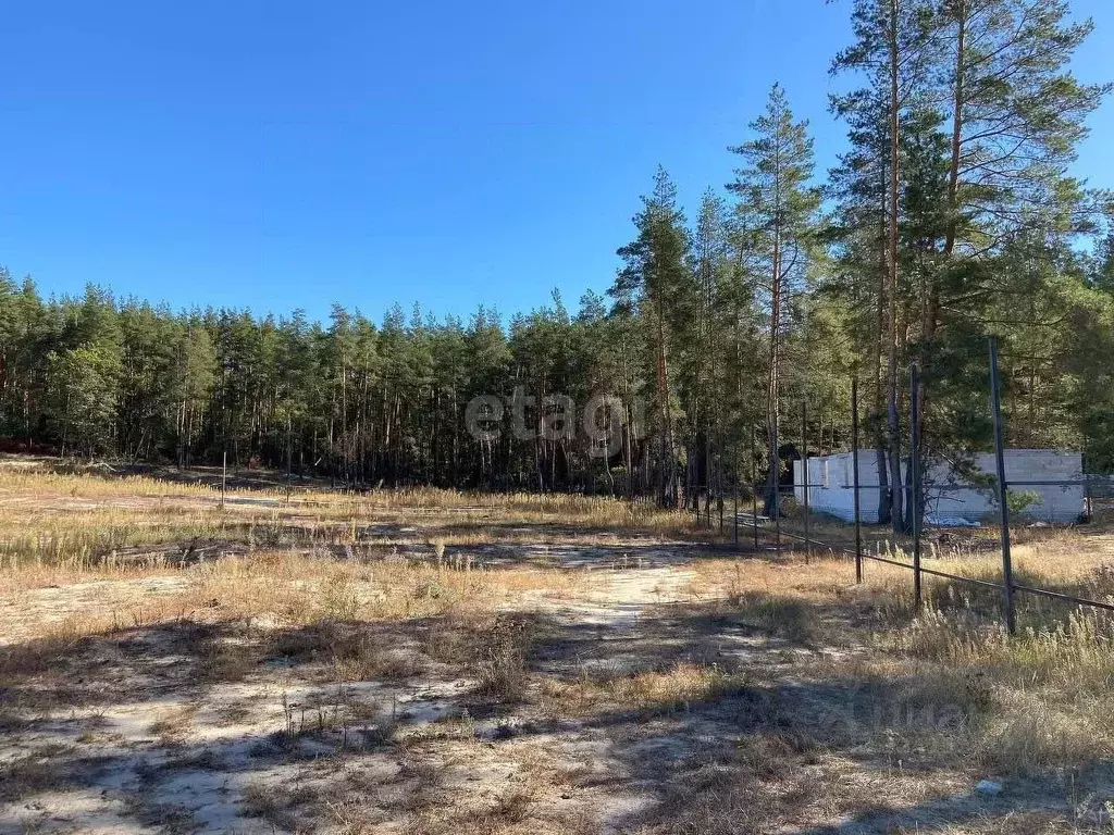 Участок в Воронежская область, Рамонский район, Новоживотинновское ... - Фото 1