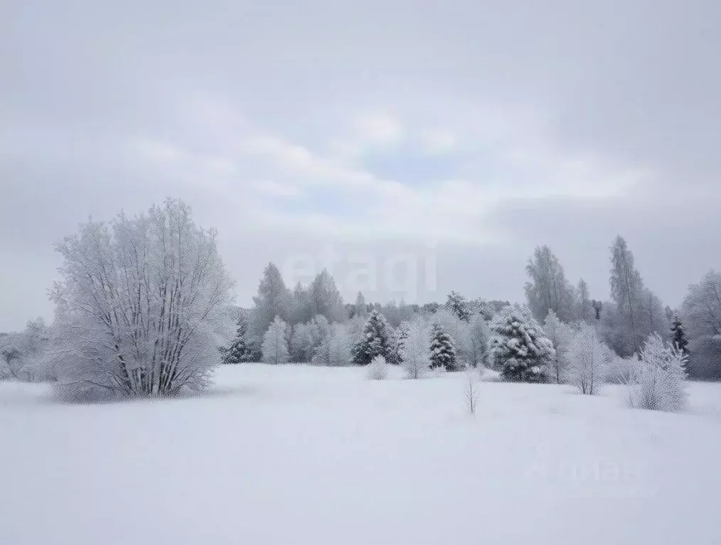Участок в Ленинградская область, Кириши  (10.0 сот.) - Фото 2