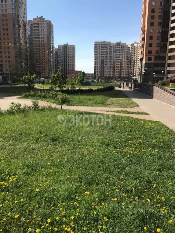 Студия Санкт-Петербург ул. Верности, 17 (25.0 м) - Фото 1