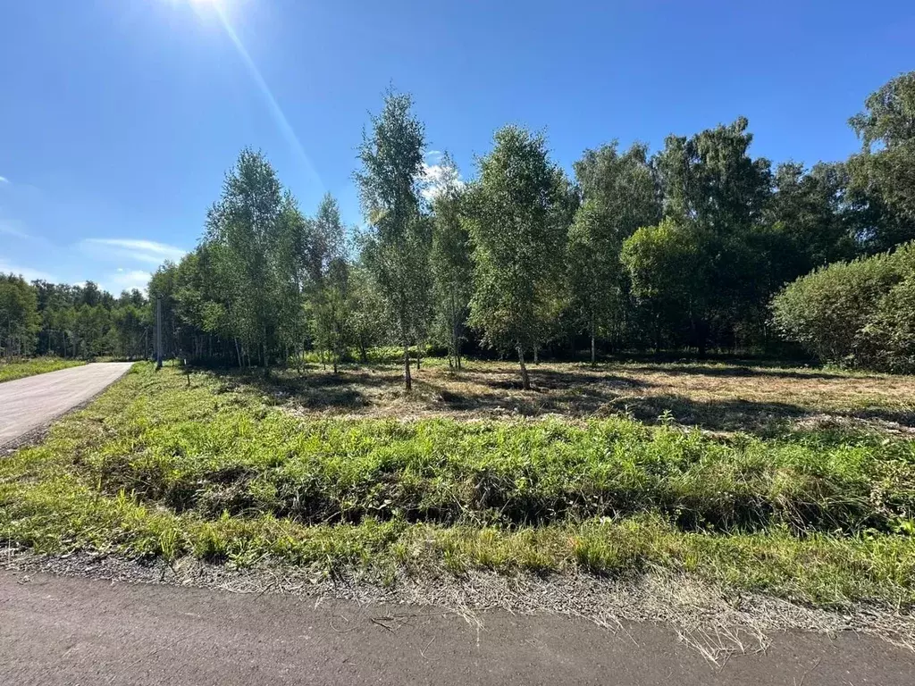 Участок в Московская область, Домодедово Сталь СНТ,  (5.0 сот.) - Фото 1