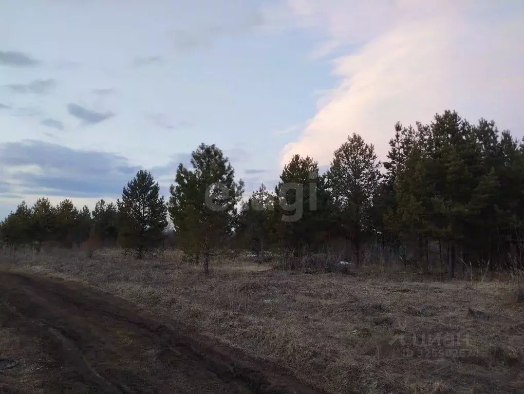Участок в Удмуртия, Сарапульский район, д. Петровка Дачная ул. (49.0 ... - Фото 2