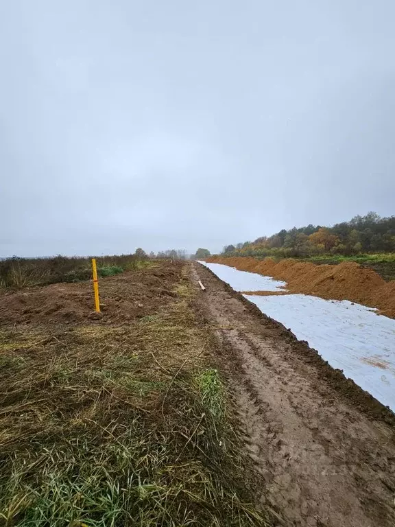 Участок в Калужская область, Жуковский муниципальный округ, Истье ... - Фото 2