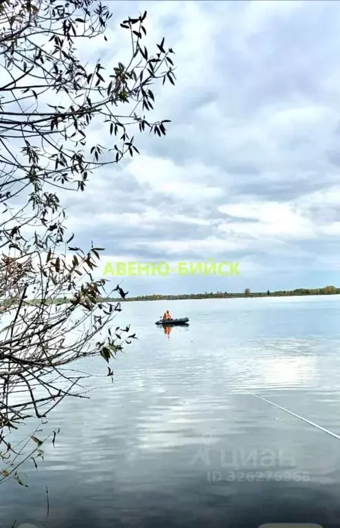 Участок в Алтайский край, Троицкий район, с. Вершинино Набережная ул. ... - Фото 2
