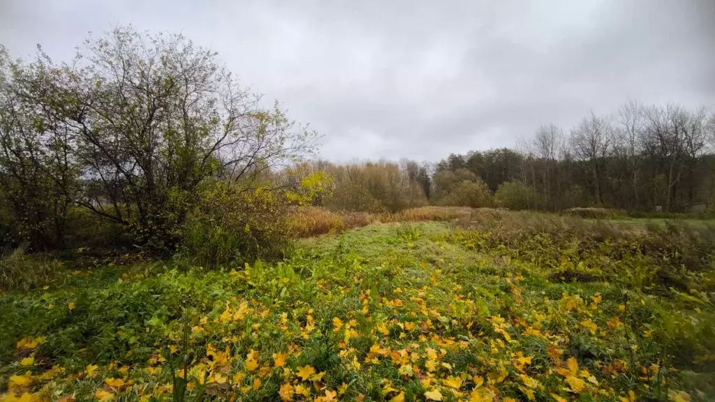 Участок в Калининградская область, Гурьевский муниципальный округ, ... - Фото 1