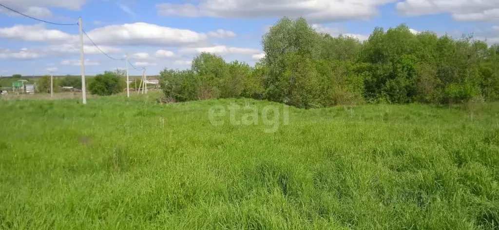 Участок в Алтайский край, Белокуриха ул. Нижняя (11.8 сот.) - Фото 1