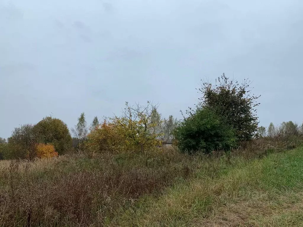Участок в Московская область, Павлово-Посадский городской округ, с. ... - Фото 0