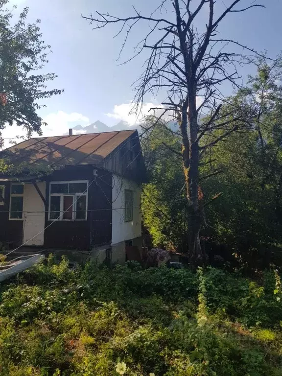 Участок в Краснодарский край, Сочи Красная Поляна пгт, ул. Пчеловодов, ... - Фото 1