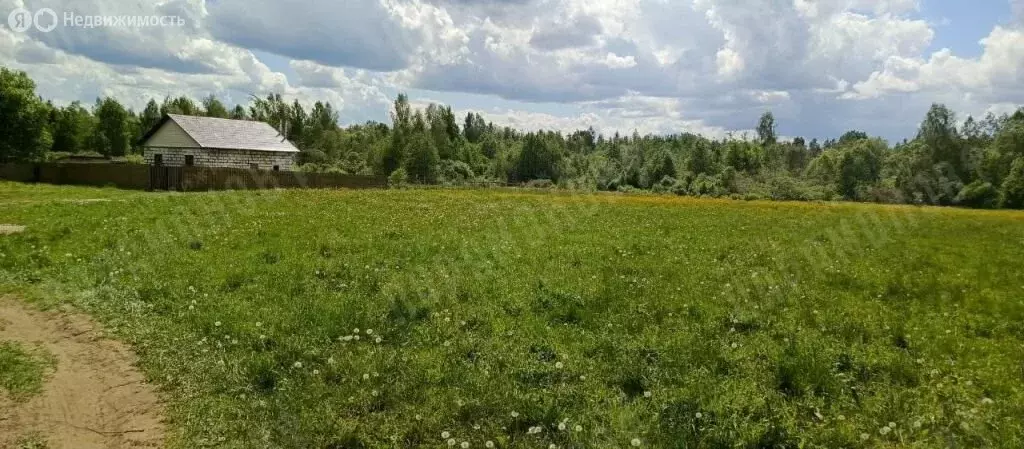 Участок в Тверская область, Калининский муниципальный округ, село ... - Фото 1