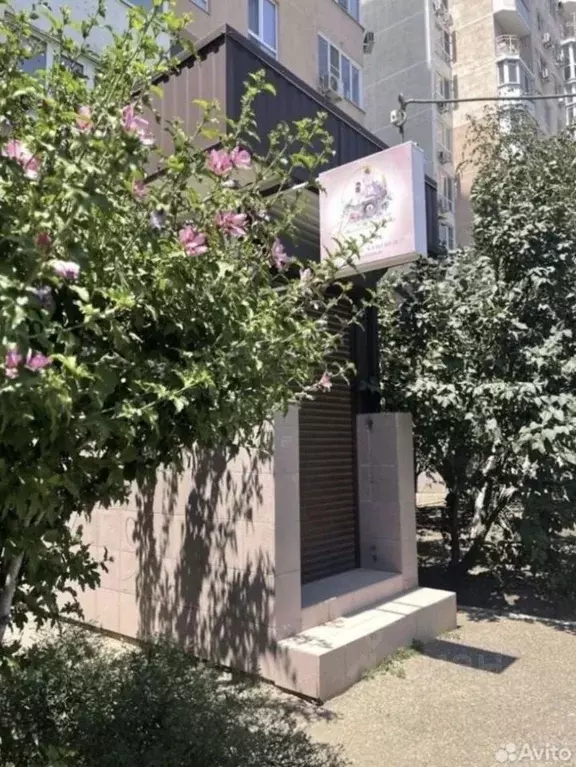 Помещение свободного назначения в Краснодарский край, Краснодар ул. ... - Фото 1