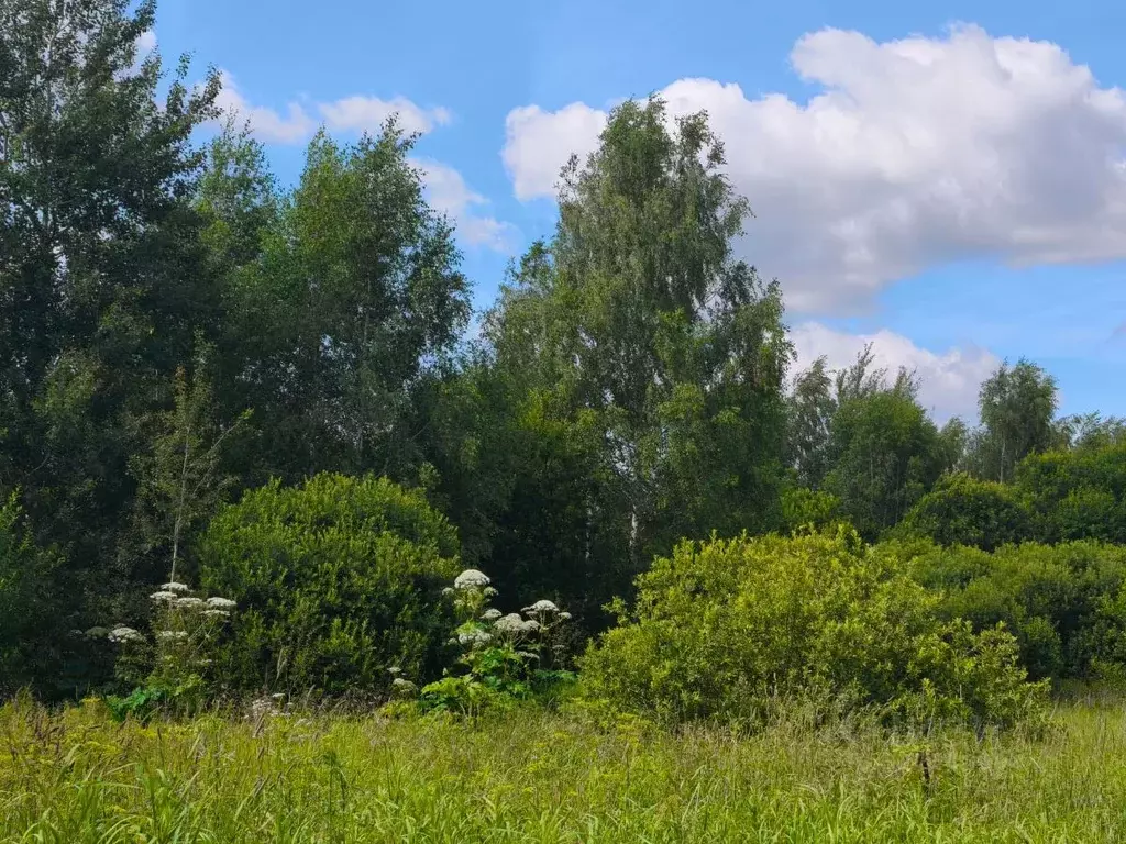 Участок в Московская область, Орехово-Зуевский городской округ, д. ... - Фото 1