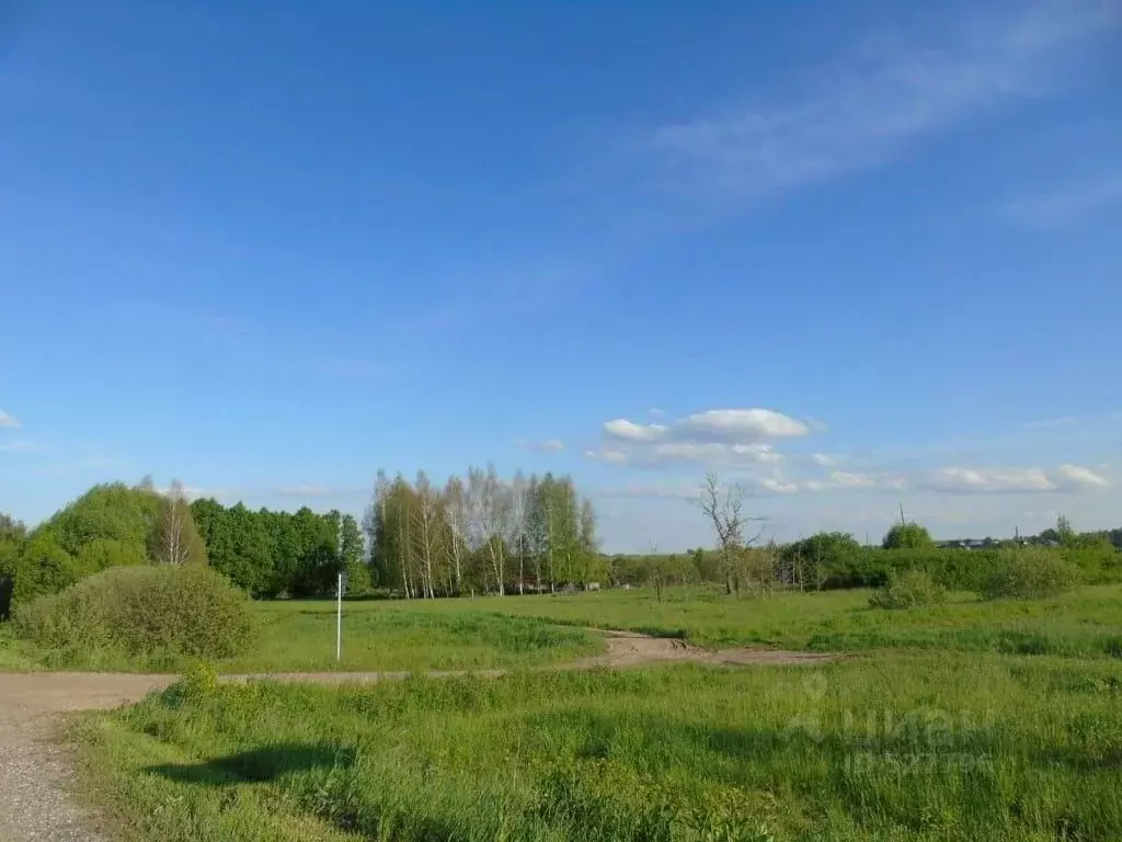 Участок в Ярославская область, Переславль-Залесский городской округ, ... - Фото 1