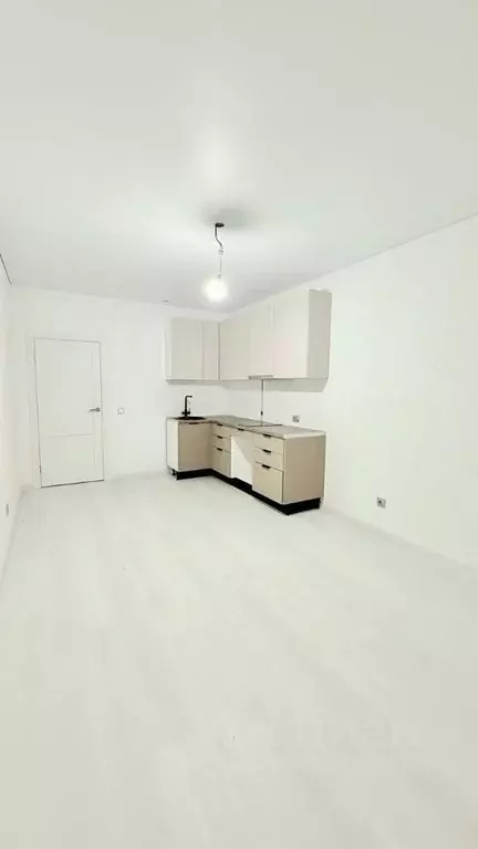 Студия Санкт-Петербург Пулковское ш., 95к3 (23.6 м) - Фото 2