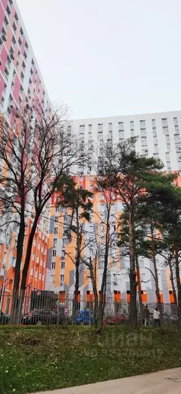 Студия Московская область, Одинцовский городской округ, Новоивановское ... - Фото 2