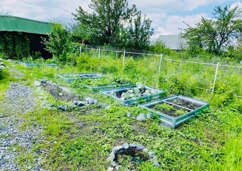 Купить Сад В Копейске Недорого