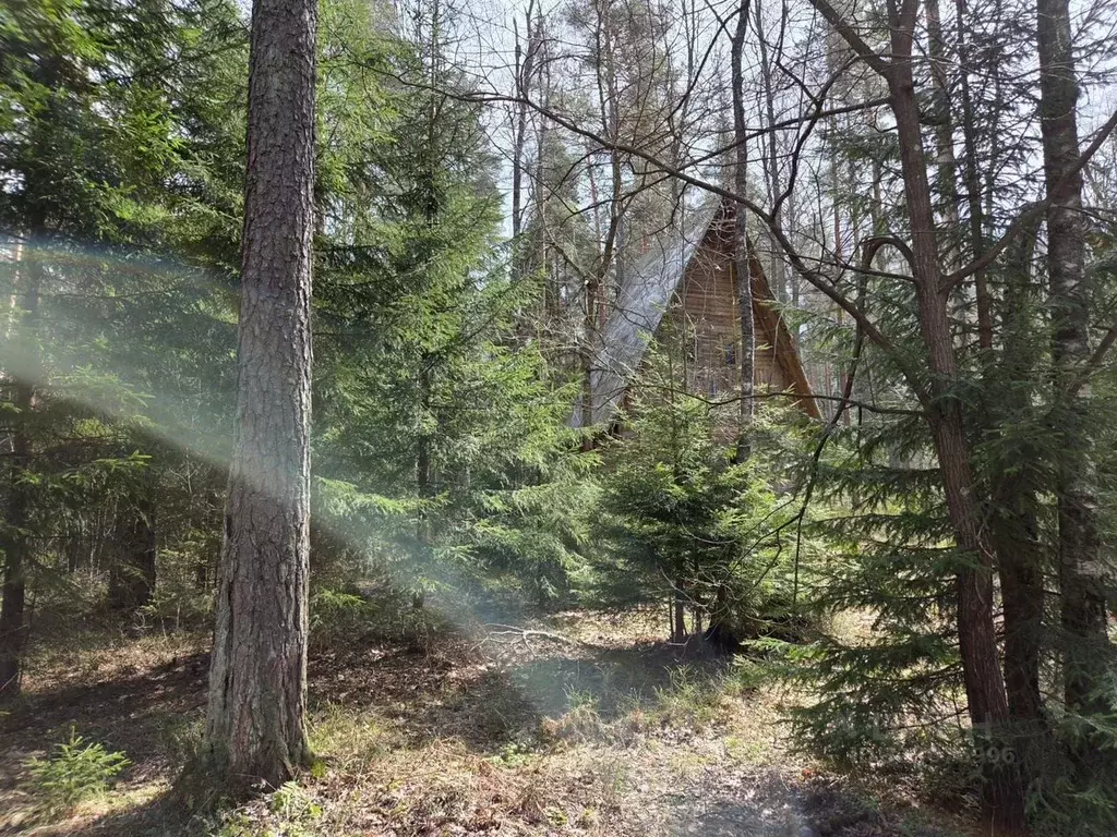 Участок в Ленинградская область, Выборгский район, Полянское с/пос  ... - Фото 1