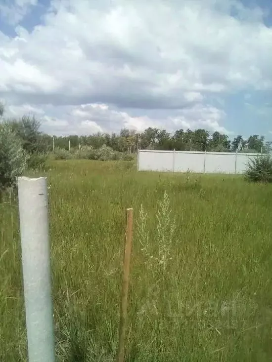 Участок в Самарская область, Ставропольский район, с. Хрящевка Полевая ... - Фото 2