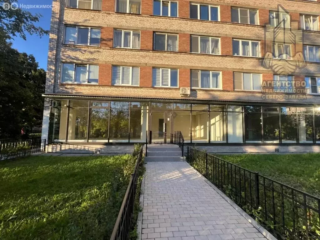 Помещение свободного назначения (129.2 м) - Фото 1