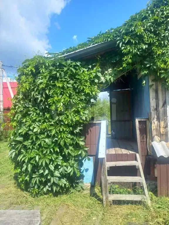 Дом в Тюменская область, Тюмень СОСН Сирень тер., ул. Вишневая (24 м) - Фото 1