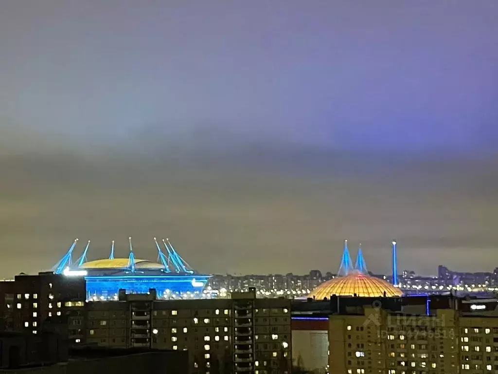 Студия Санкт-Петербург ул. Савушкина, 124к1 (32.0 м) - Фото 1