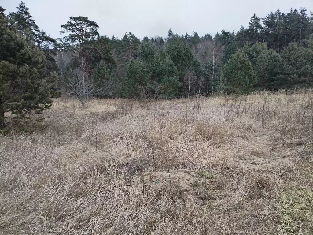 Участок в Московская область, Коломна городской округ, д. Марково ул. ... - Фото 0