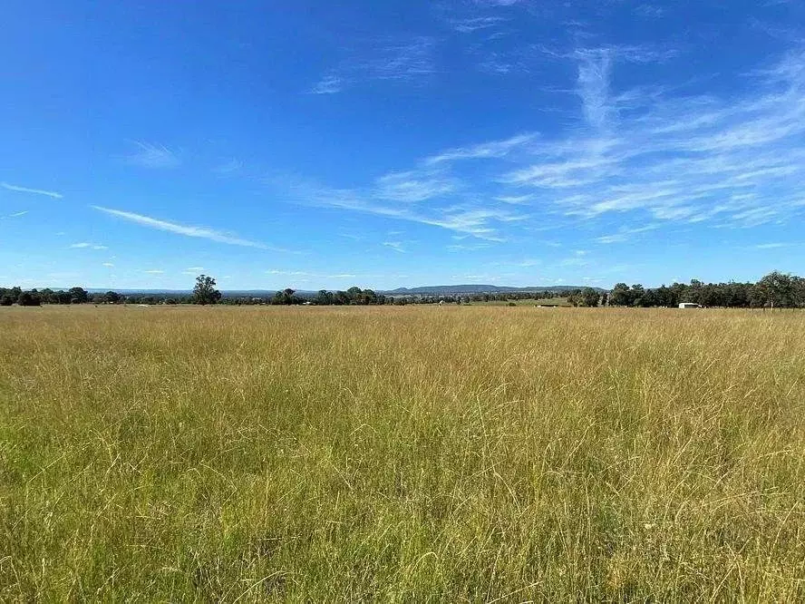 Участок в Московская область, Рузский муниципальный округ, д. Бельково ... - Фото 1
