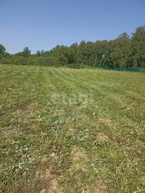 Участок в Калужская область, Балабаново г. Боровский муниципальный ... - Фото 0