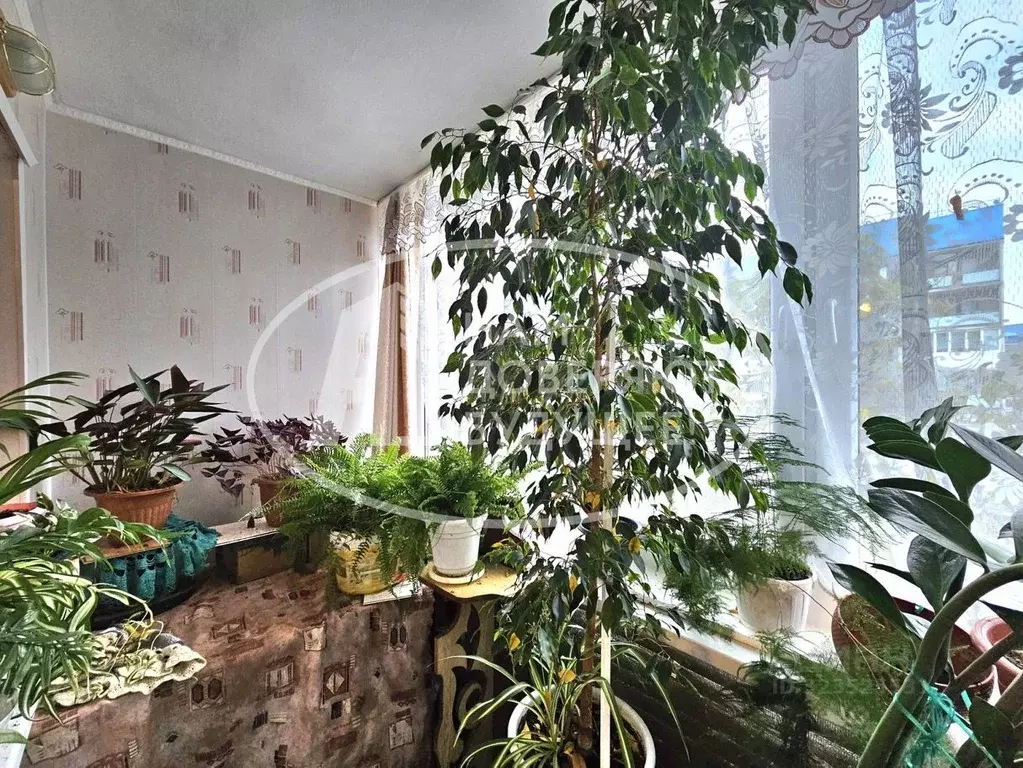 3-к кв. Пермский край, Чайковский городской округ, пос. Марковский 16 ... - Фото 1