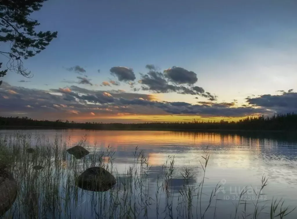 Участок в Московская область, Истра муниципальный округ, д. Ремянники  ... - Фото 1