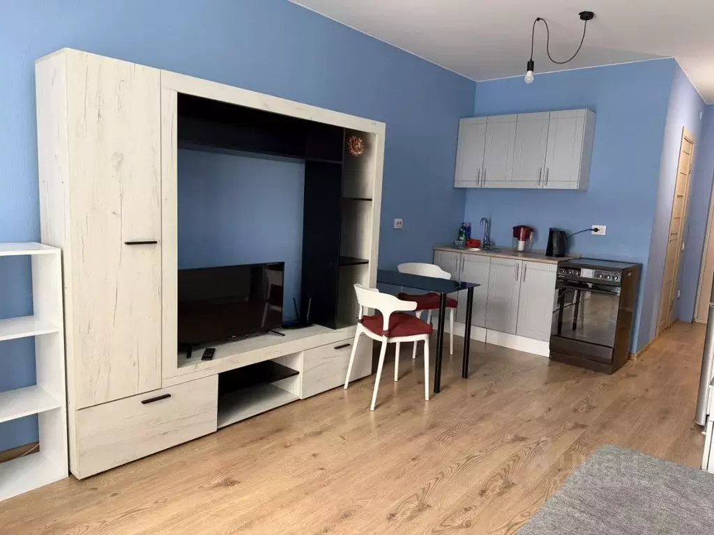 Студия Санкт-Петербург пос. Парголово, проезд Толубеевский, 8к2 (22.1 ... - Фото 2