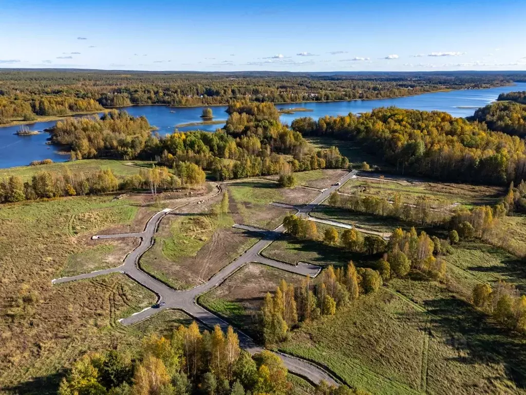 Участок в Ленинградская область, Приозерский район, Ромашкинское ... - Фото 2