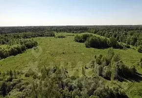 Участок в Московская область, Рузский городской округ, д. Высоково ... - Фото 1