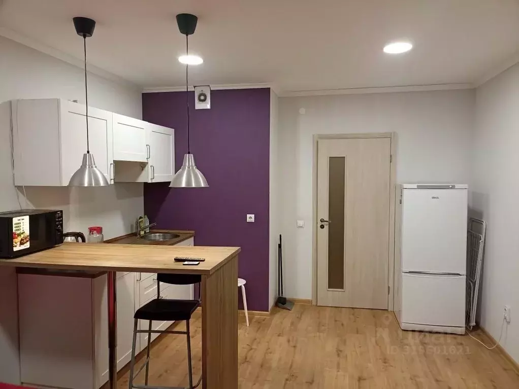 Студия Санкт-Петербург бул. Александра Грина, 1 (24.5 м) - Фото 1
