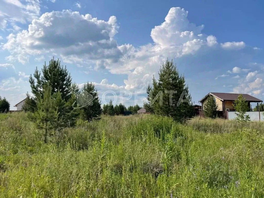 Участок в Тюменская область, Тюмень Ирбитский Тракт 3-й км от ... - Фото 1