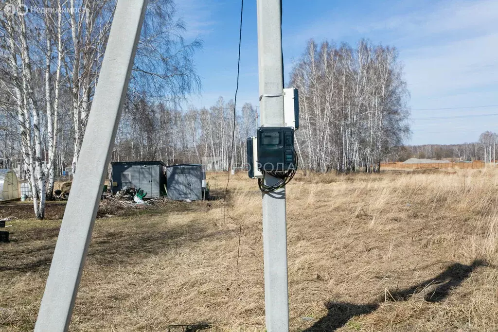Участок в Новосибирский район, Верх-Тулинский сельсовет, ... - Фото 1