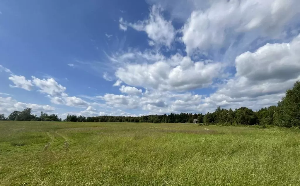 Участок в Московская область, Клин городской округ, д. Тиликтино  ... - Фото 1