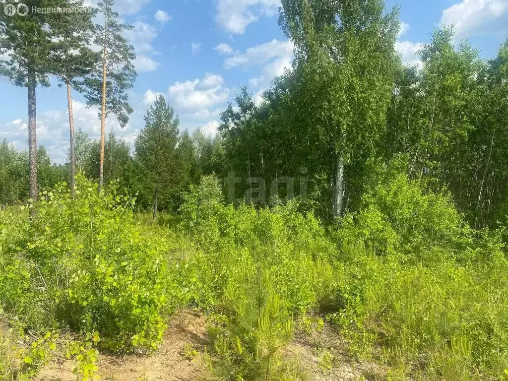 Участок в Иркутский муниципальный округ, деревня Новолисиха, посёлок ... - Фото 0