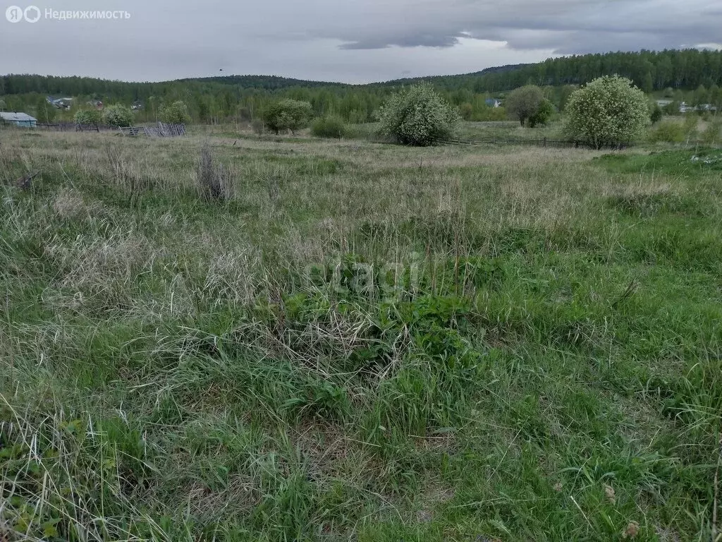 Участок в Учалинский район, Тунгатаровский сельсовет, деревня ... - Фото 1