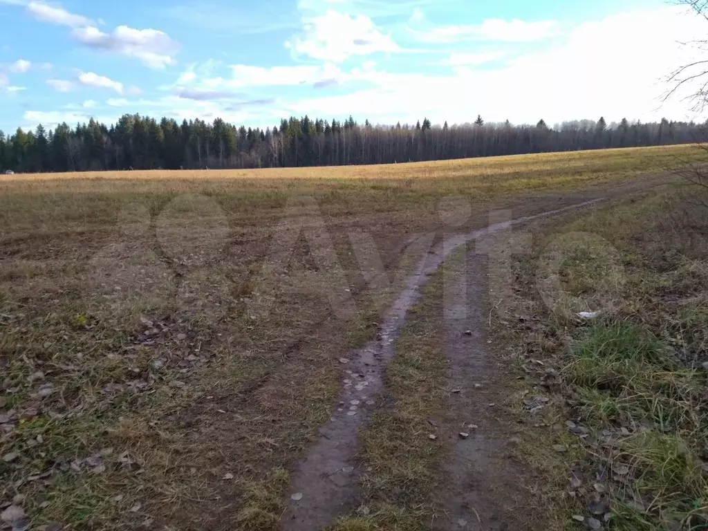 Дача 20 м на участке 3,2 га - Фото 0