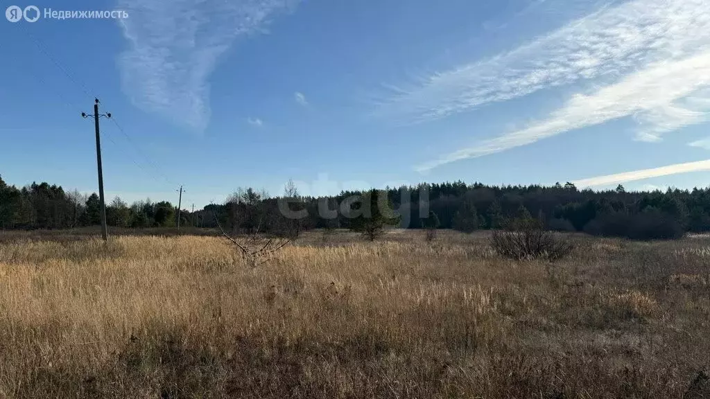 Участок в Ичалковский район, посёлок Смольный (1200 м) - Фото 2