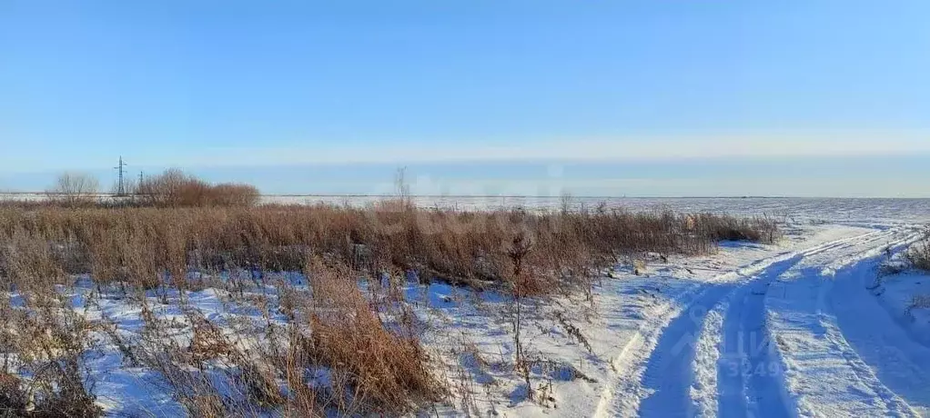 Участок в Амурская область, Благовещенский район, с. Чигири  (9.58 ... - Фото 1