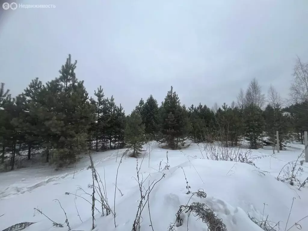 Участок в Екатеринбург, садоводческое некоммерческое товарищество ... - Фото 1