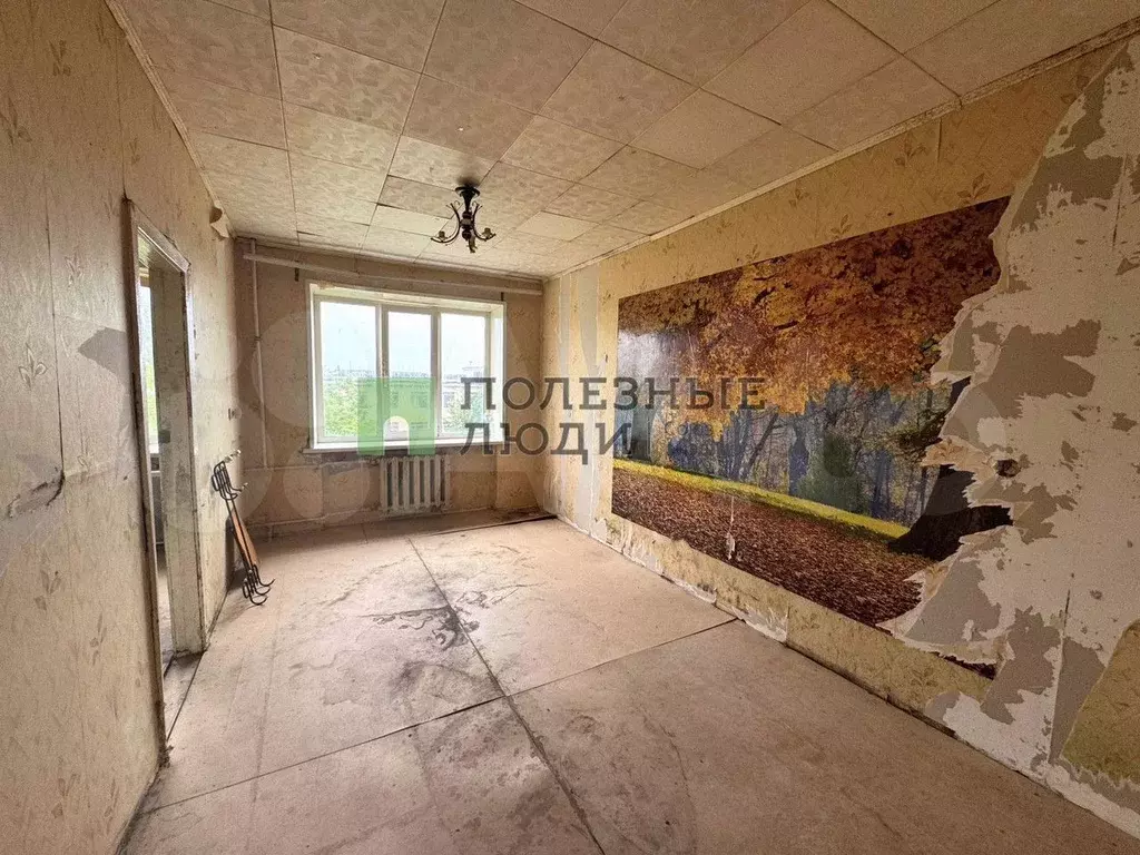 1-к. квартира, 25,4 м, 4/5 эт. - Фото 0