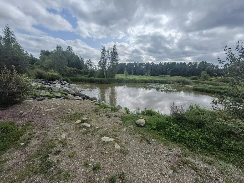 Участок в Ленинградская область, Выборгский район, Светогорское ... - Фото 0