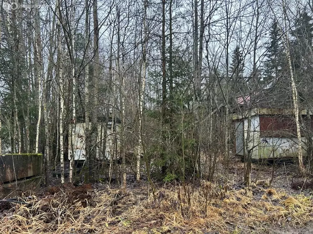 Участок в Пениковское сельское поселение, садоводческое некоммерческое ... - Фото 1