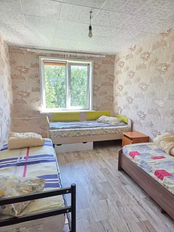 3-к кв. Пермский край, Соликамск ул. 20-летия Победы, 192 (55.0 м) - Фото 2