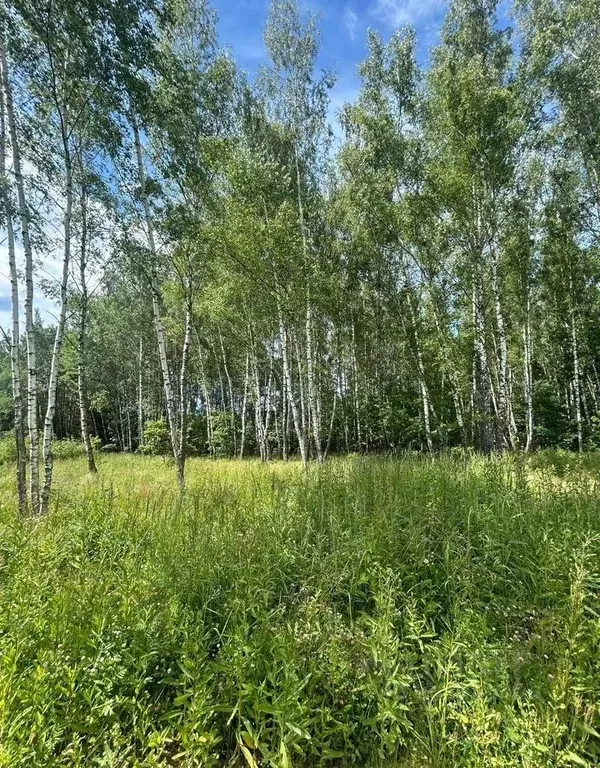 Участок в Московская область, Серпухов городской округ, пос. ... - Фото 2